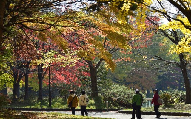 Hotel Mystays Sapporo Nakajima Park Annex