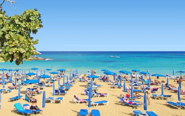Paloma Paralimni in Paralimni