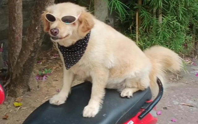 Shalana Homestay- formerly Teka Teki House