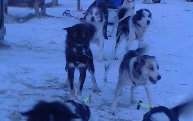 Haugetuft Apartments
