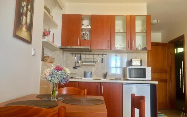 Apartments Villa Lazic