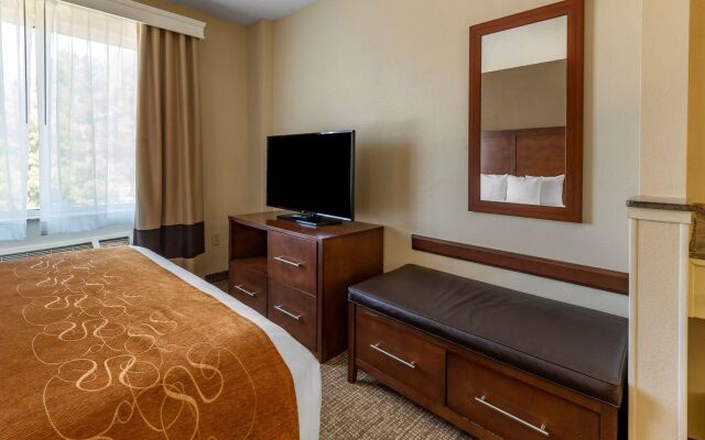 Comfort Suites Raleigh Walnut Creek