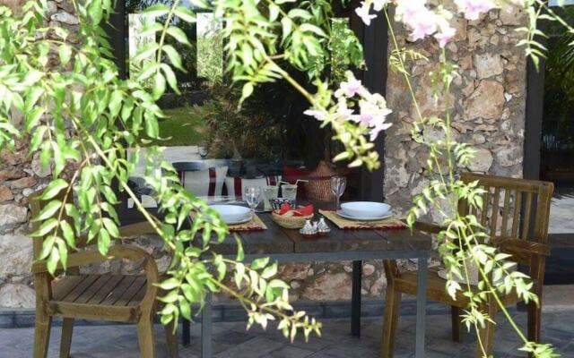 Koheilan Oriental Lodge Farm