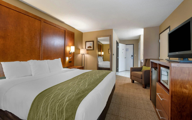 Comfort Inn Romeoville - Bolingbrook