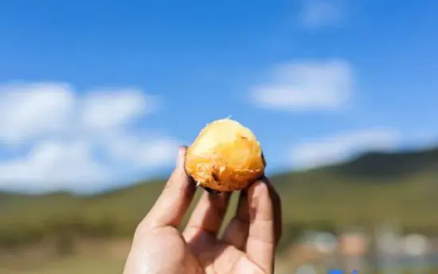 Tianye Panshan Holiday Guesthouse