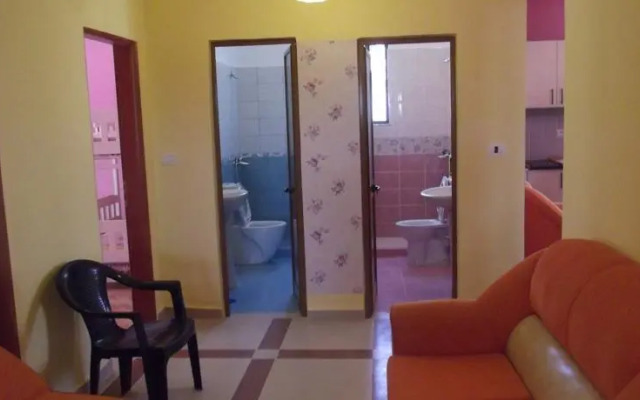 Dolphin Hostel
