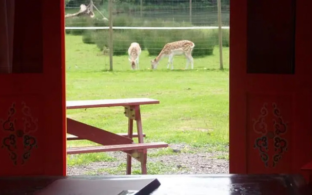 Yourtes du Moulin Bertrand