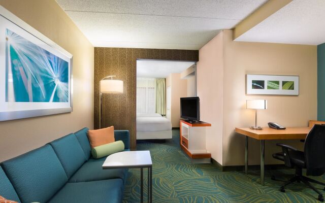 SpringHill Suites by Marriott Austin South