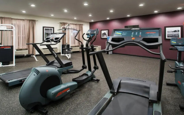 Holiday Inn Express & Suites Wyomissing by IHG