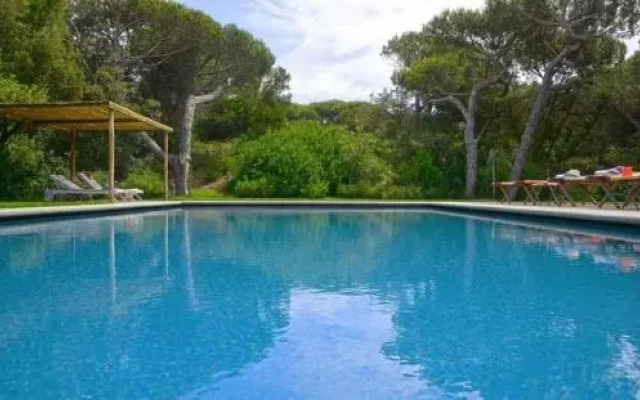 Beach Front Limonaia