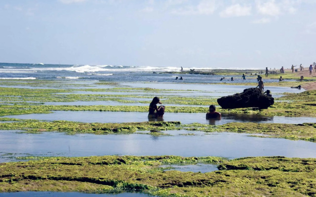 Pousada Restinga Apart Service- Aeroporto
