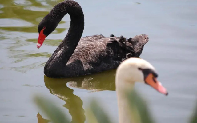 Chateau de la Clapiere