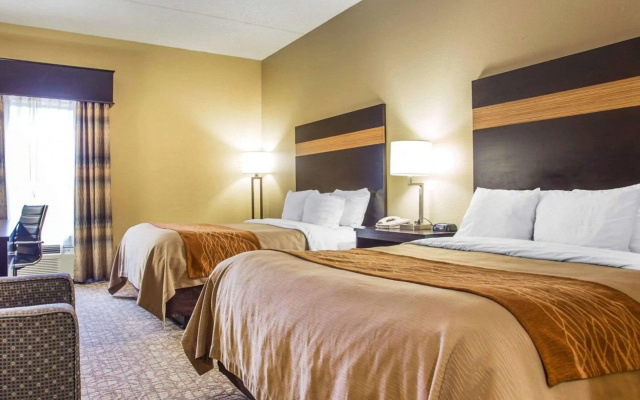Comfort Inn & Suites at Stone Mountain