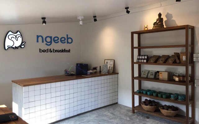 OYO 787 Ngeeb Bed & Breakfast