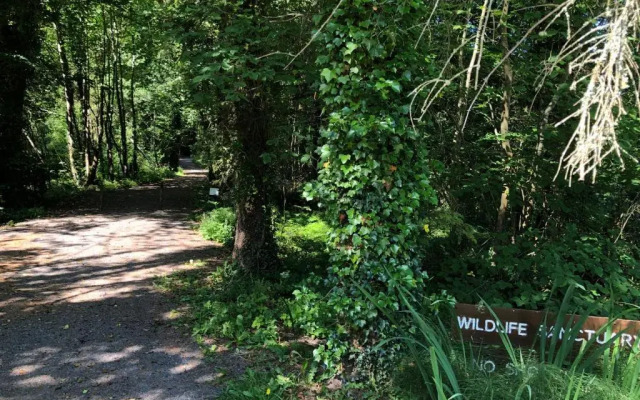 The North Lodge Kilronan