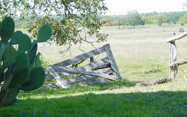 Back Forty of Fredericksburg