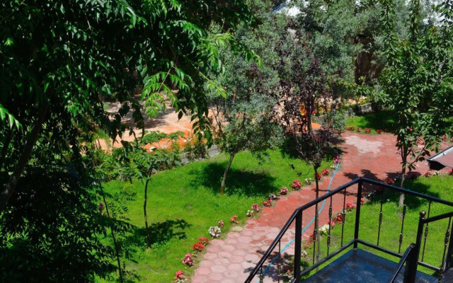 Seyir Butik