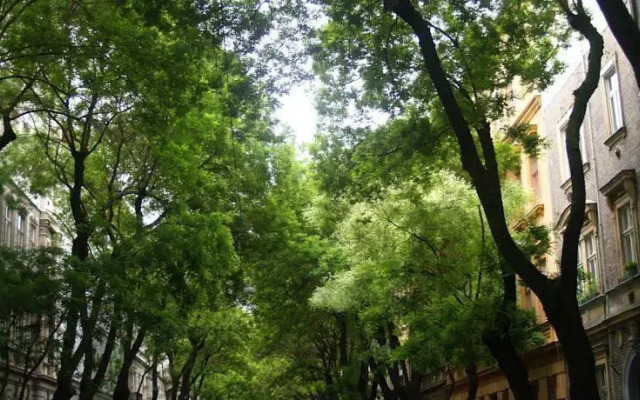 Romantic Garden Art Studio near Andrassy Avenue