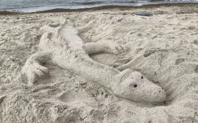 Am Stadtwald Apartment 3