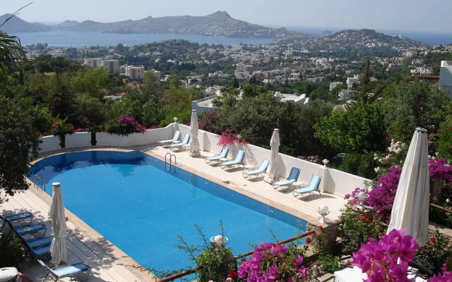 Lavanta Hotel