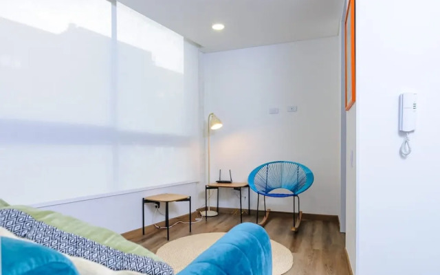 Perfect 1 BR in Centro Historico