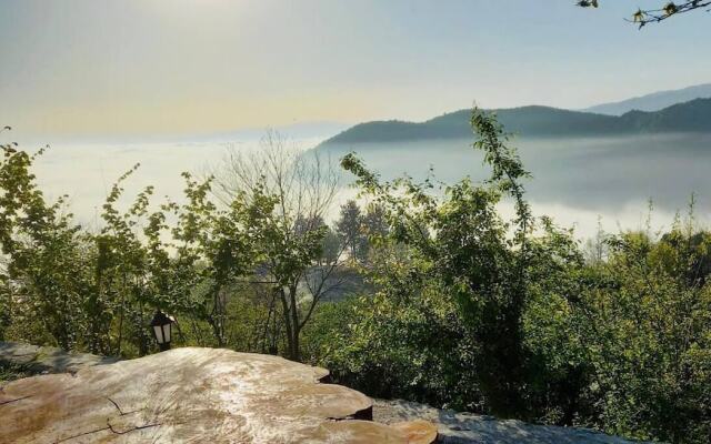 Phalesia Glamping Sapanca
