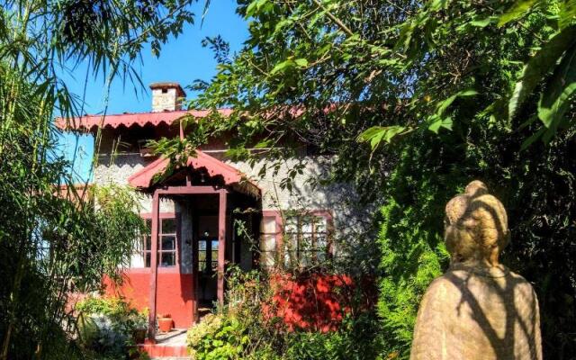 Jungle Lore Birding Lodge
