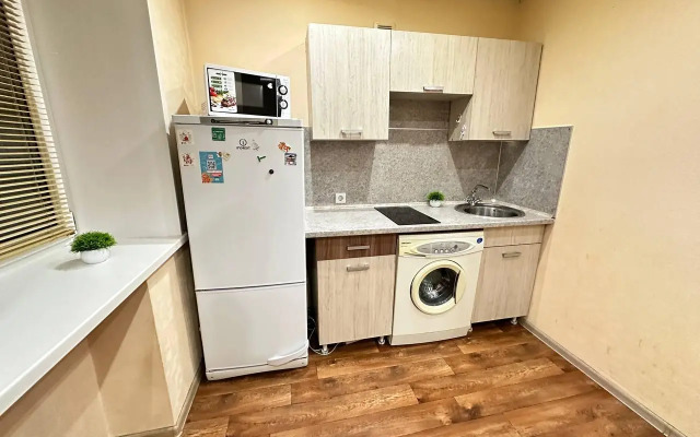 Apartments on 116 Kirov Avenue