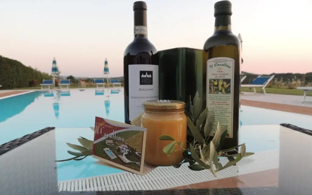 Agriturismo Il Cavallino