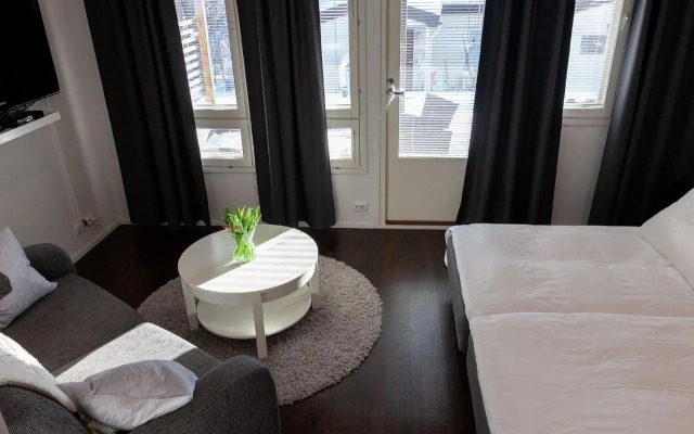 Apartment Lumikontupa