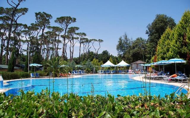 Comfortable Campsite-chalet G10 Tuscany Near sea