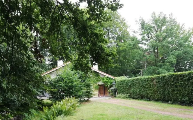 Charming Studio the Heart of the Forest