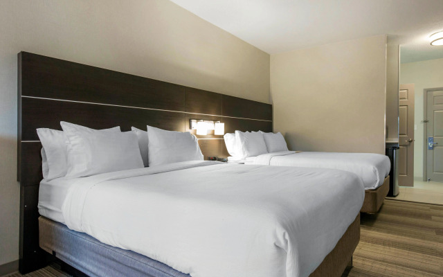 Holiday Inn Express & Suites Chicago West - St Charles