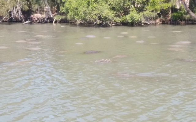 Sunrise Inn by OYO Titusville FL