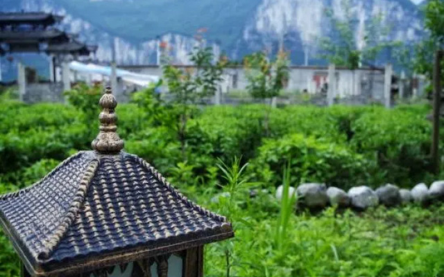 Selenium Tea Ecological Garden