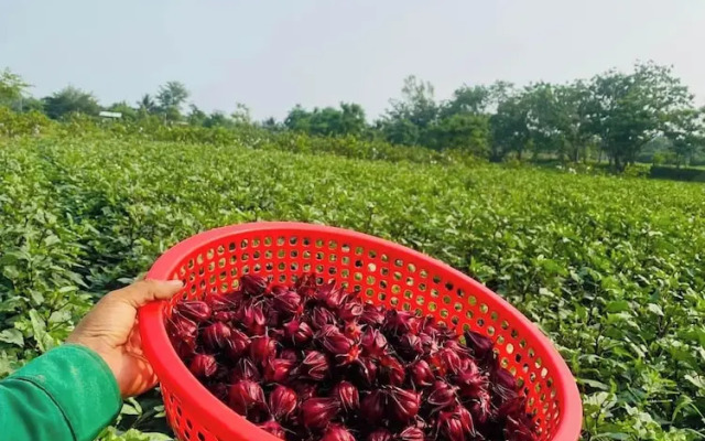 Thanh Chiem Village