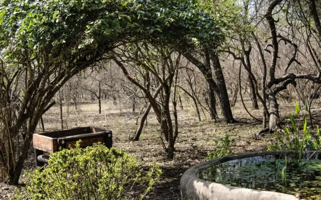 HomeBase Kruger - Hostel