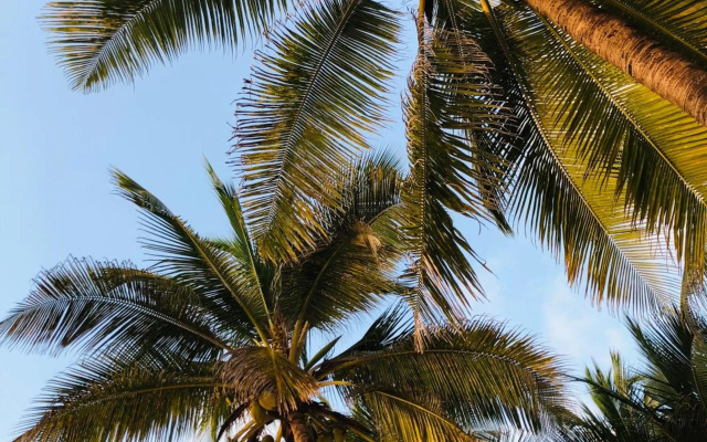 Imani Penthouse - Luxury Ocean View Apartment Nne, Kiwengwa Beach