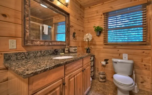 The Lone Star Cabin