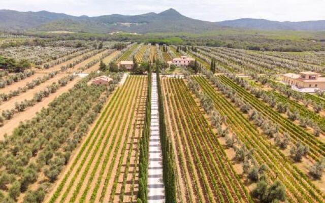 Agriturismo Tra Gli Ulivi