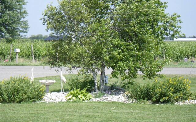 A Vineyard View B&B