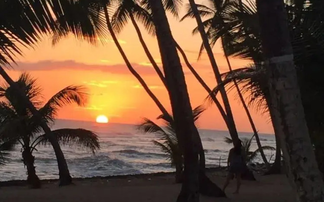 PTV Apartamentos en Albatros