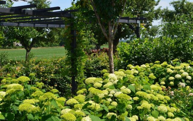 B&B “de Boerlarij”