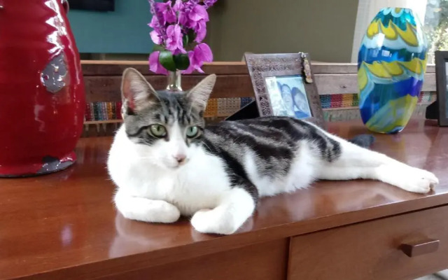 Suítes Silêncio e Aconchego