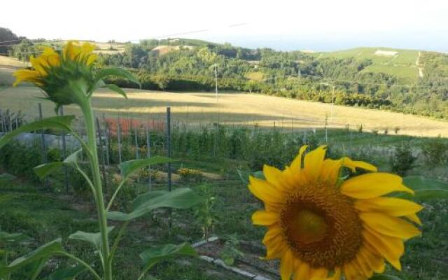 Affittacamere Stay Bel Piemonte