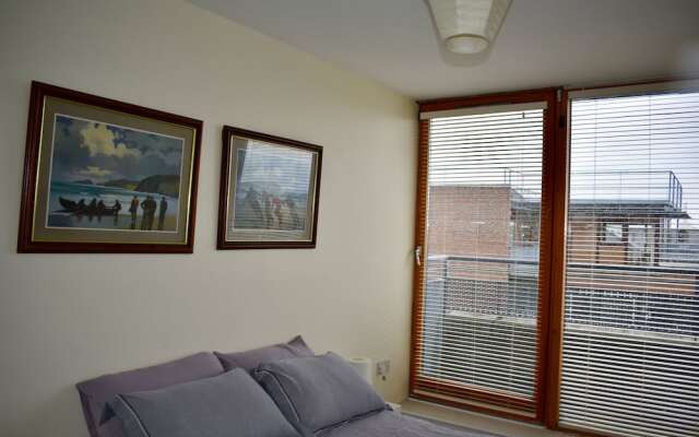 Stunning 2 Bedroom Penthouse In Grand Canal Docks