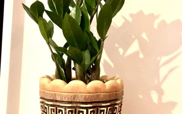 VIP Apartment in a new building in the center