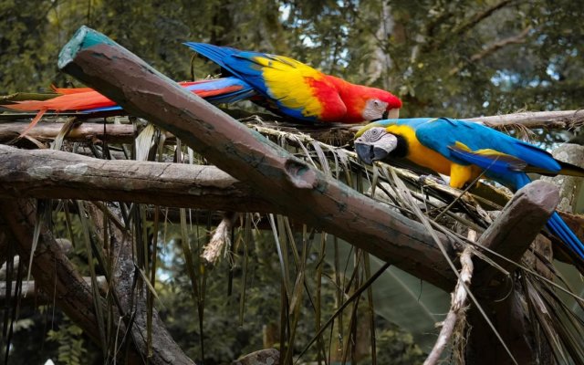 Bayou Lagoon Park Resort