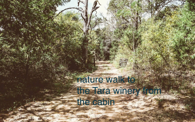Tara Vineyard And Winery