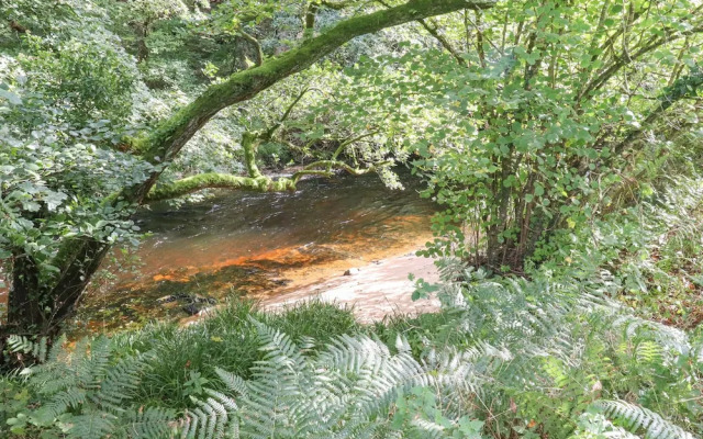 Teign River Retreat
